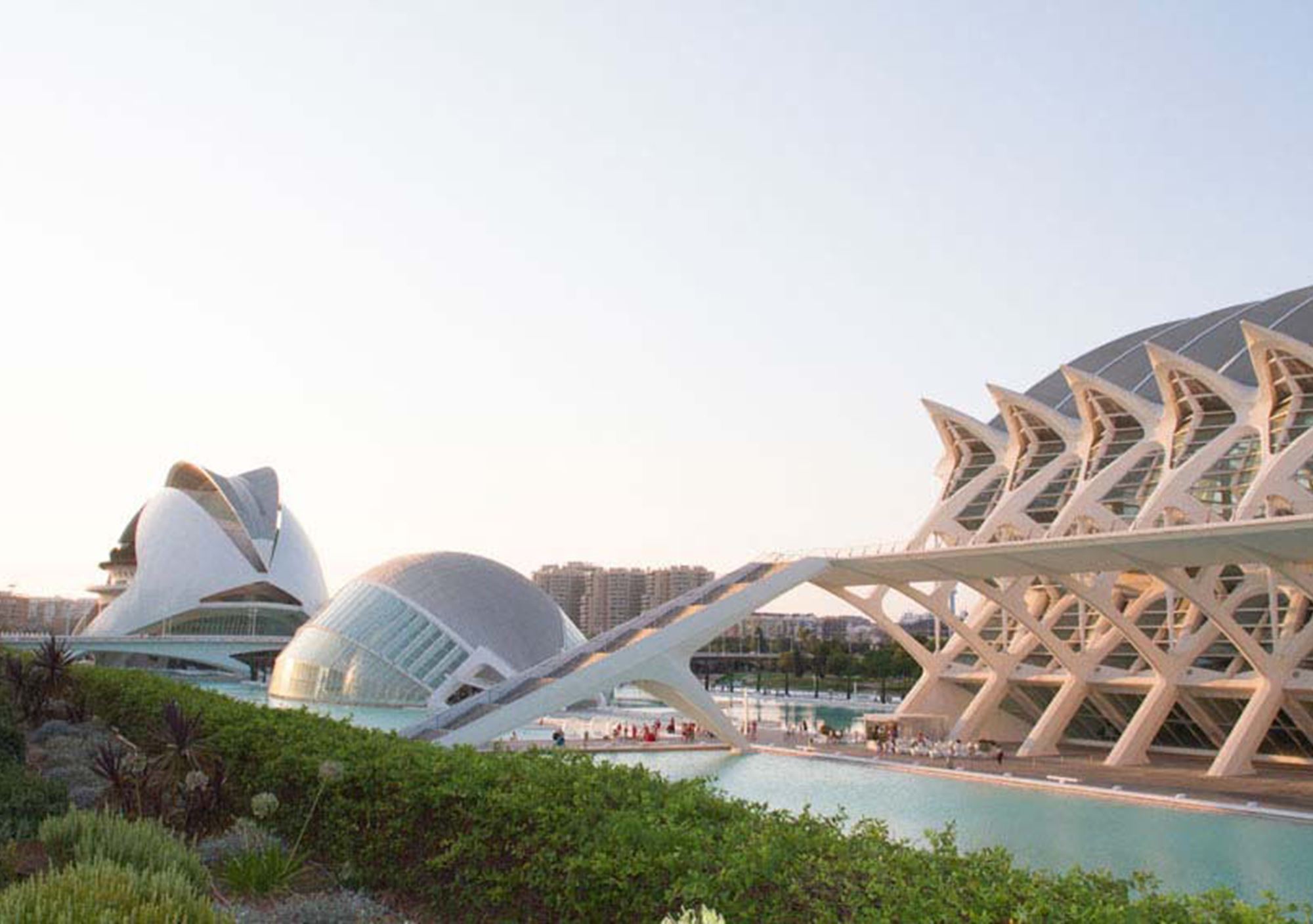 reservar tours guiados la Ciudad de las Artes y las Ciencias de Valencia